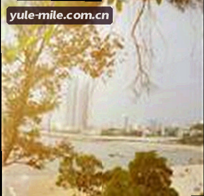 孙悦